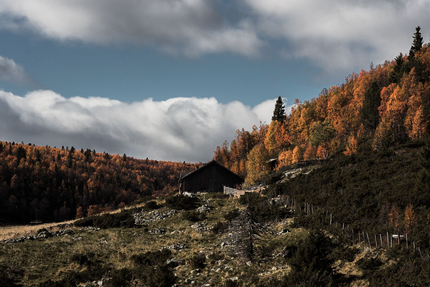 Friskeseter om høsten | Venabu Fjellhotell