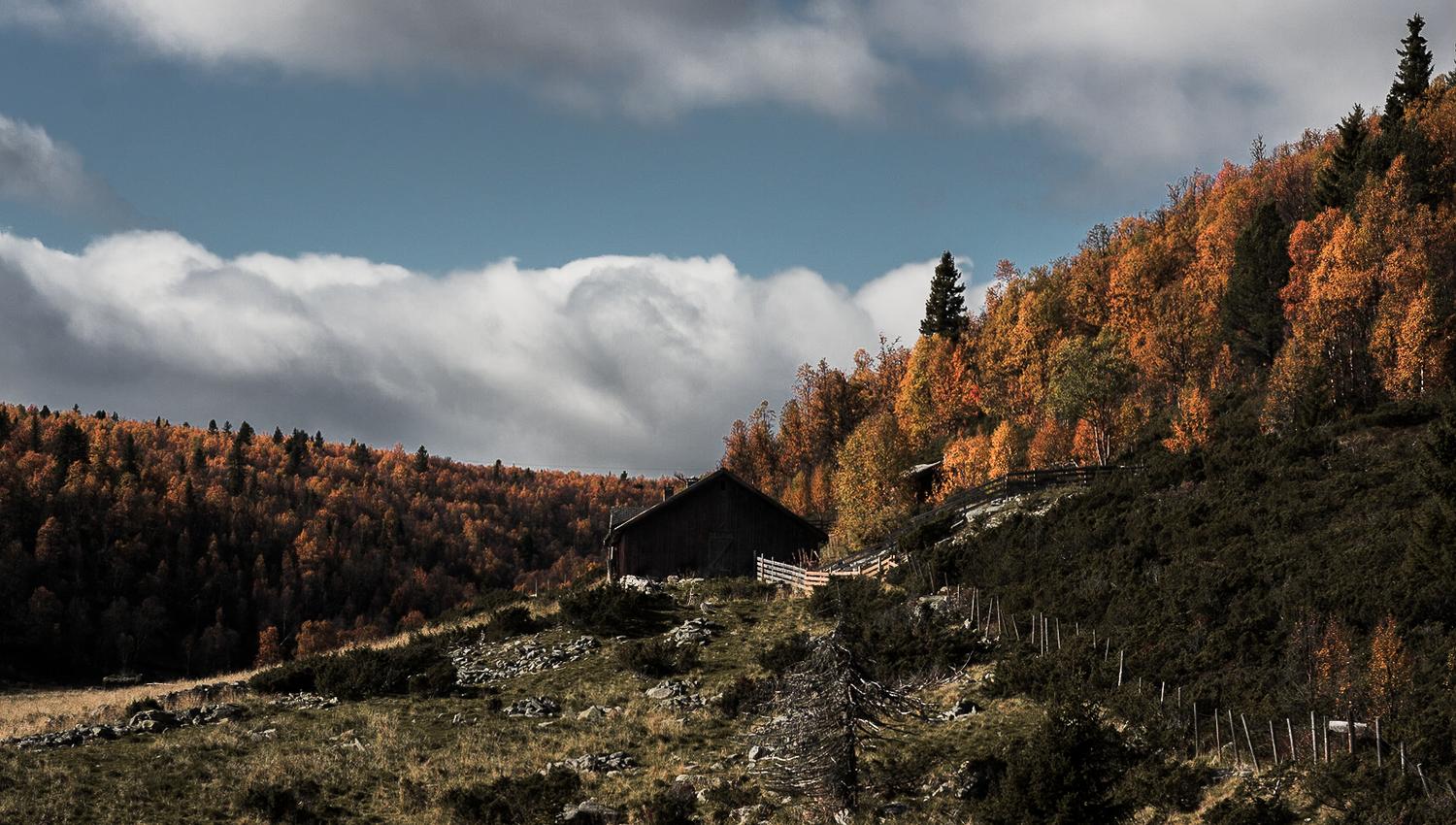 Friskeseter om høsten | Venabu Fjellhotell