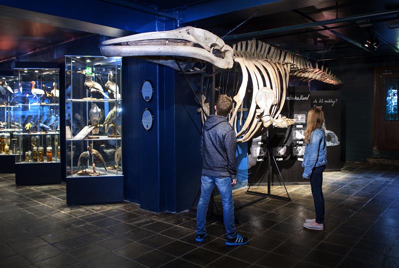 Norsk Barnemuseum