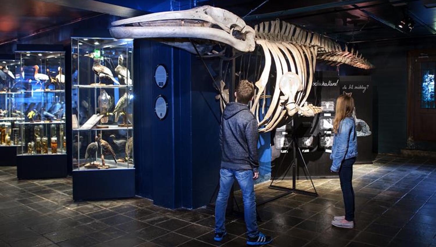 Norsk Barnemuseum