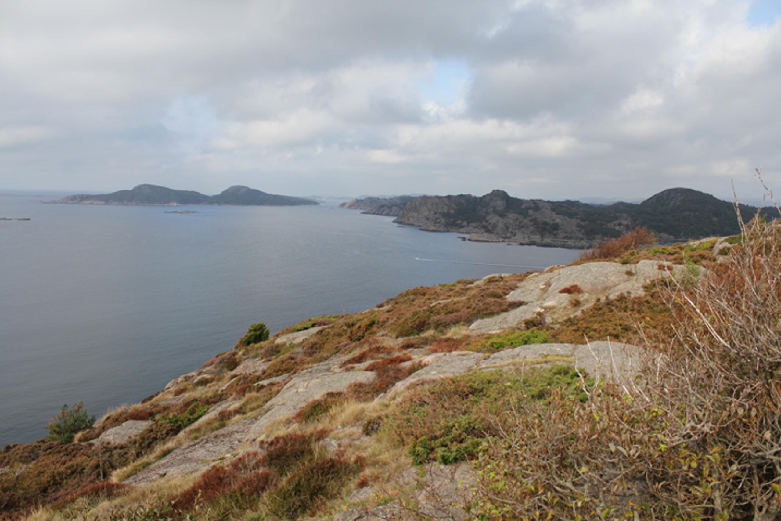 Hausvik