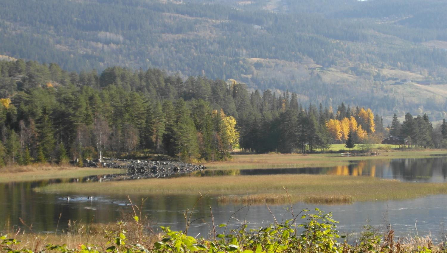 Bjårvatn rundt