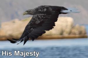 Tailor made boat trips along the northernmost coast of Northern Norway