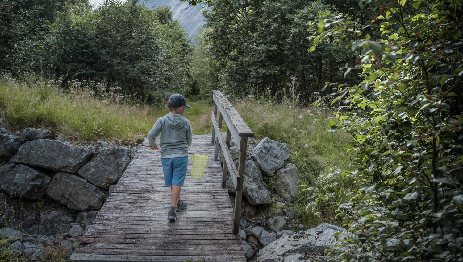 A little boy with a hoof walks across a bridge in the forest.