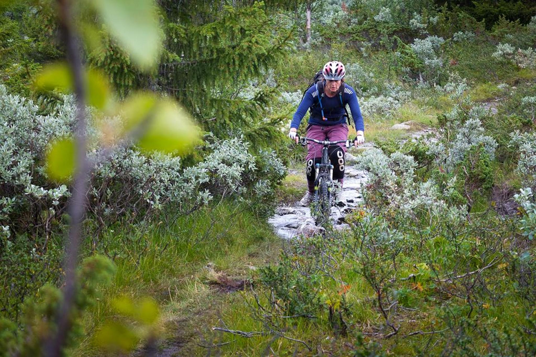 Sykling, Golsfjellet