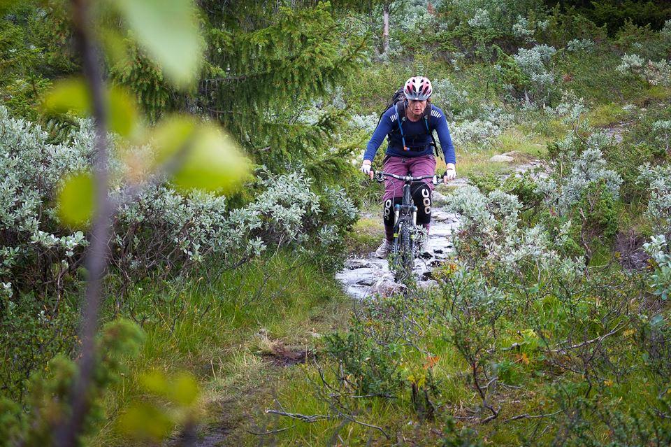 Sykling, Golsfjellet