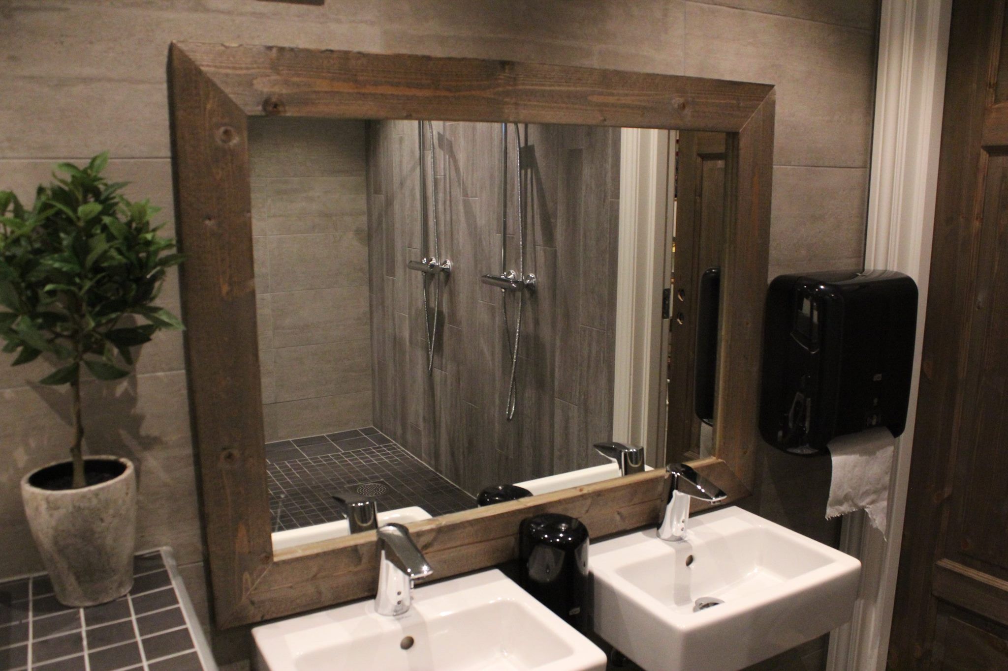 Mirror and sink