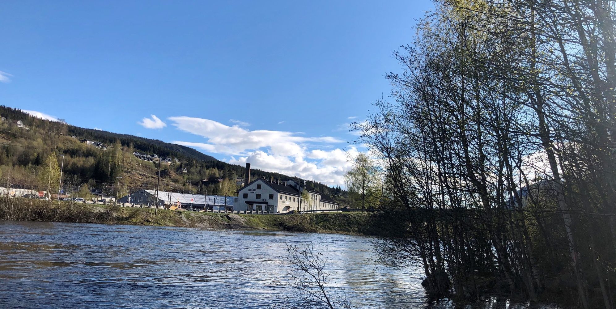 Elvelangs i Ål.