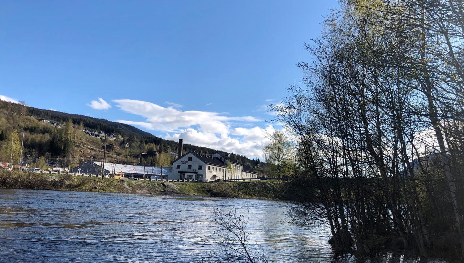 Elvelangs i Ål.