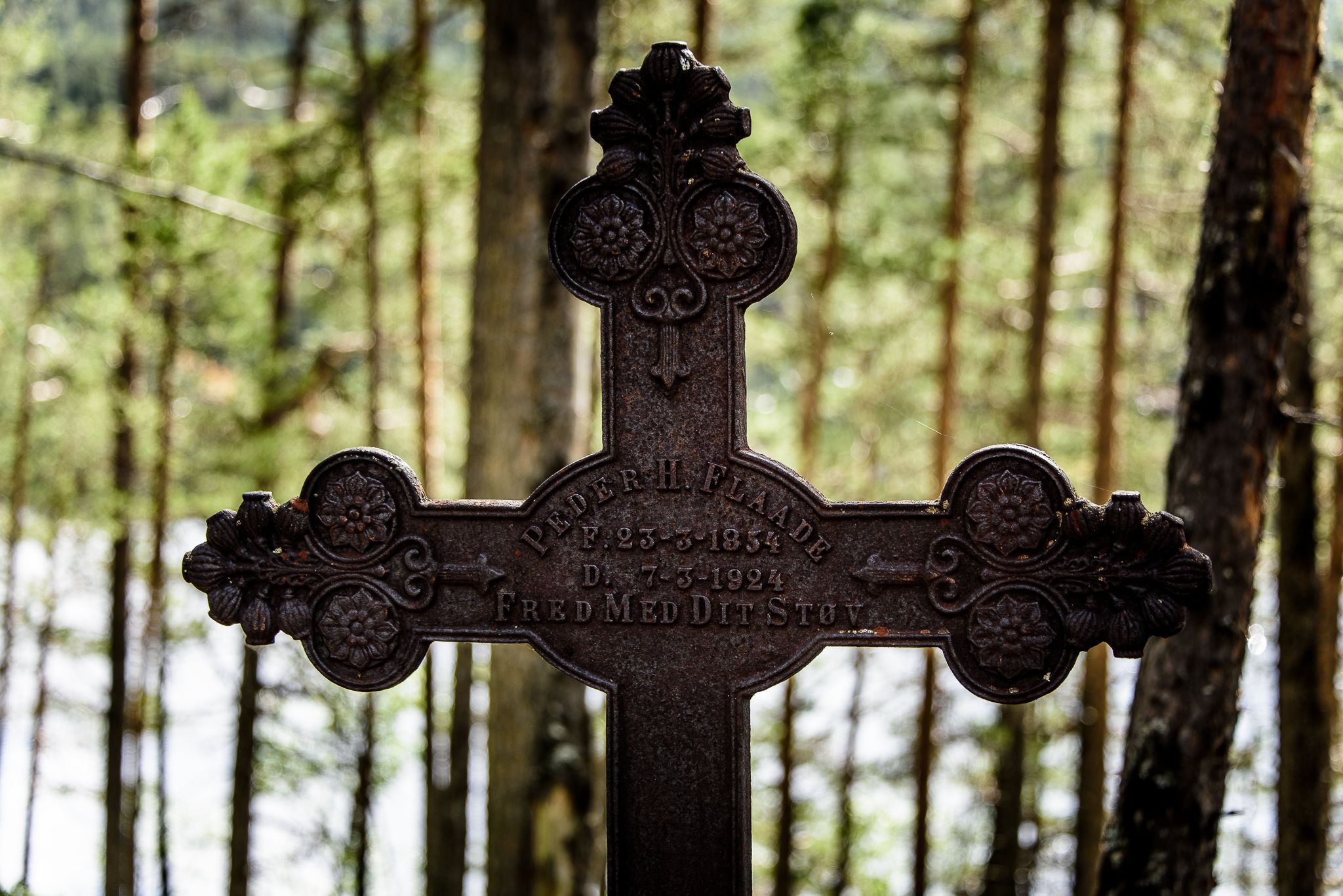 Cross