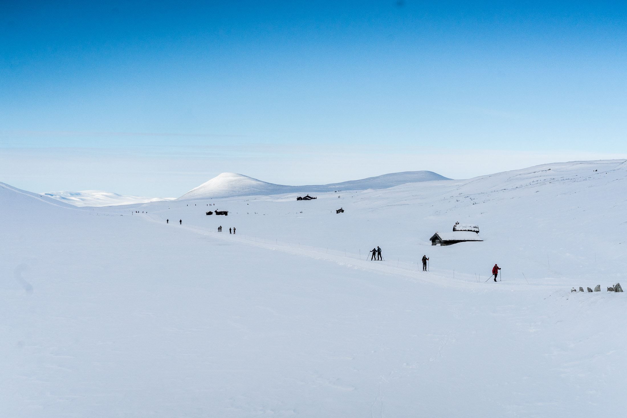 Foto- Erland Husom-Nasjonalparkriket