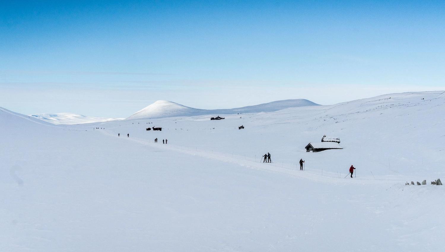 Foto- Erland Husom-Nasjonalparkriket