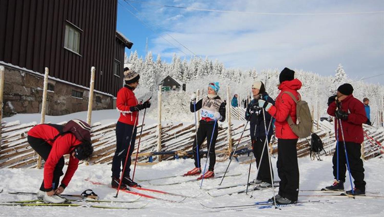 Skiing lecture in the snow.