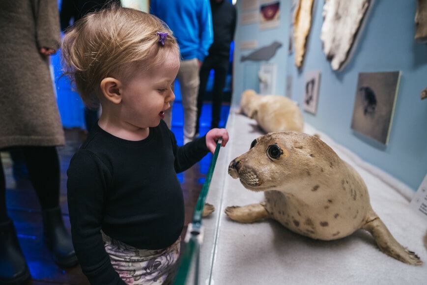 Child looking at an exhibition at The Polar Museum in Tromso