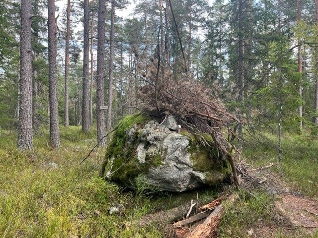 Stein, varde
