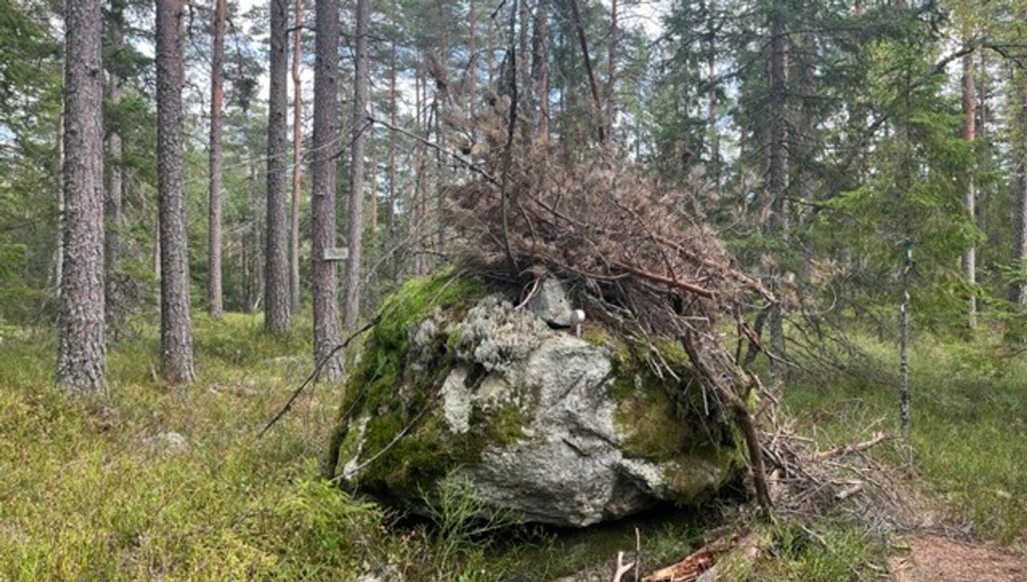 Stein, varde