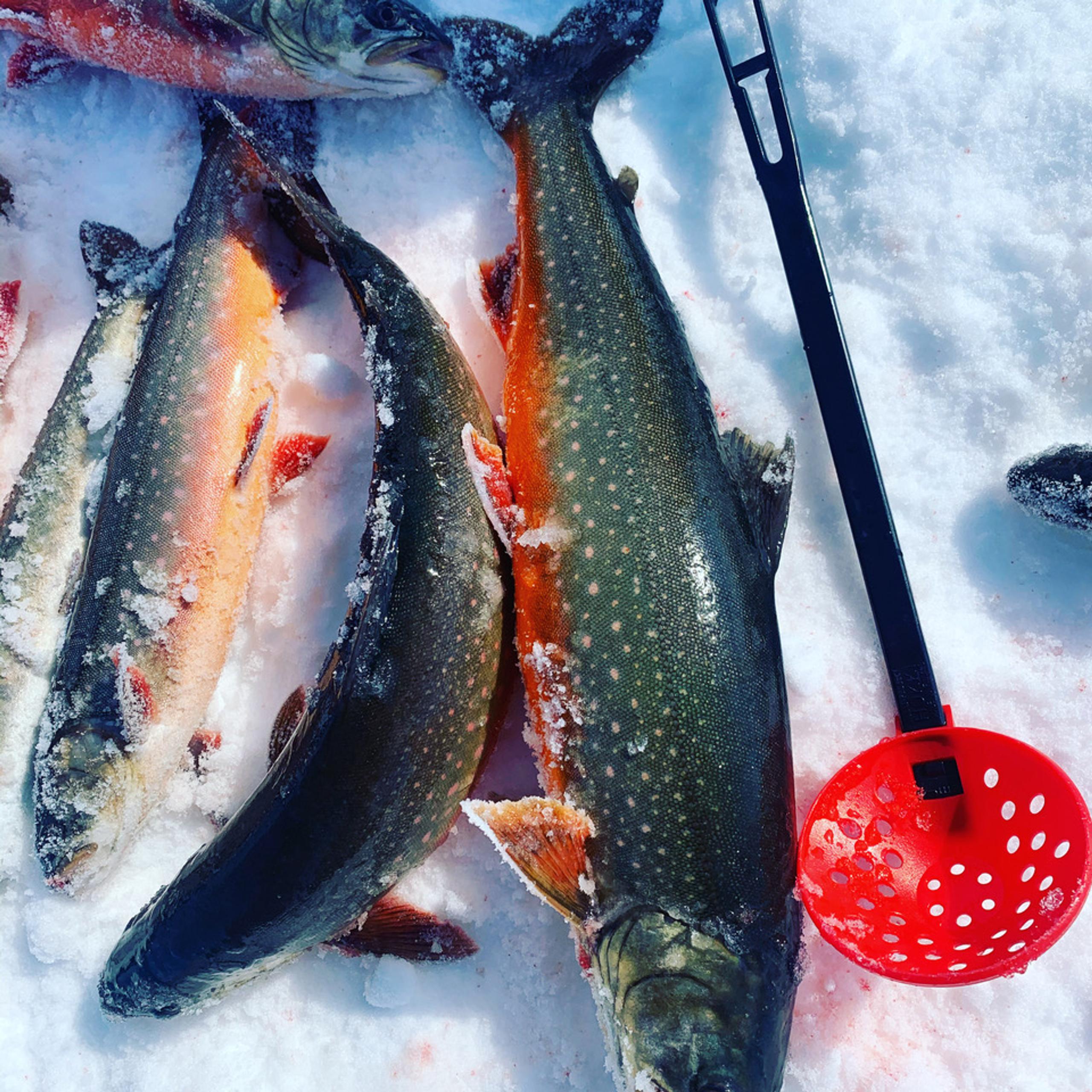 Ice fishing