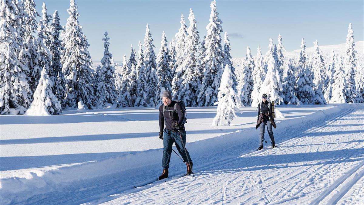 Cross Country skiing