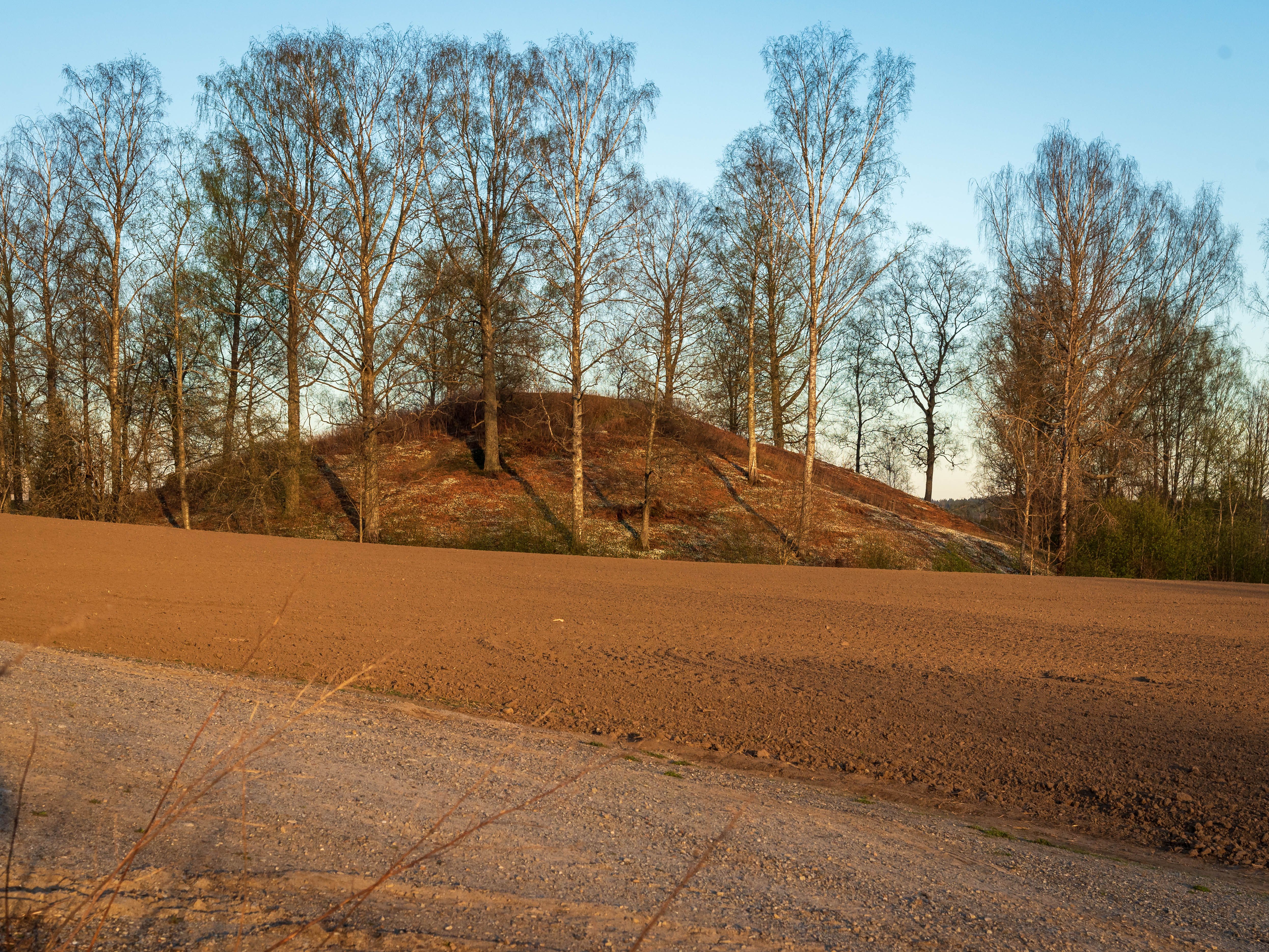 Raknehaugen