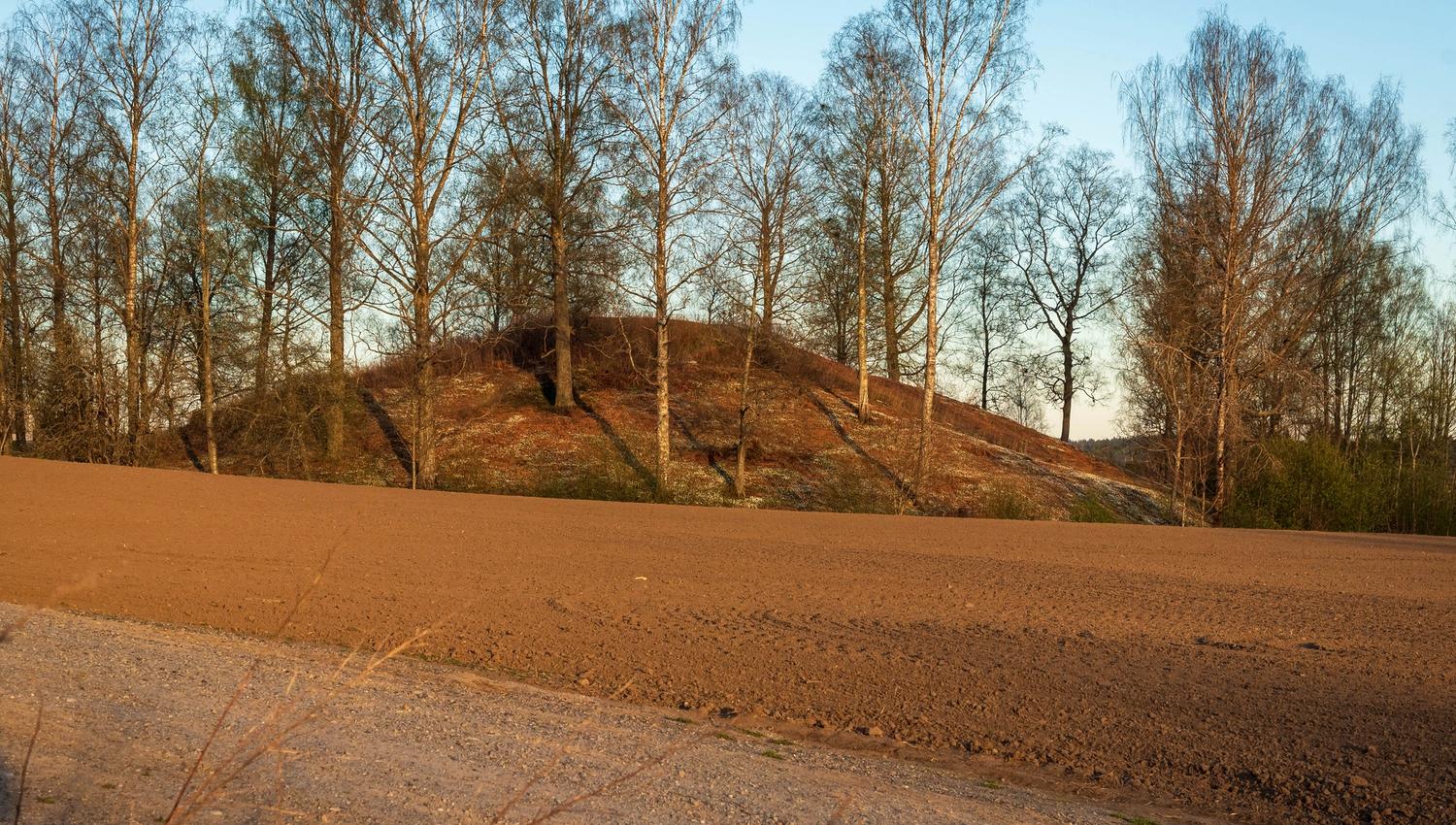 Raknehaugen