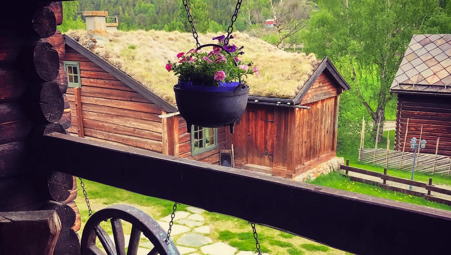 Hanging black flower pot with pink blossoms in front of wooden cabins with grass roofs and green trees outside..
