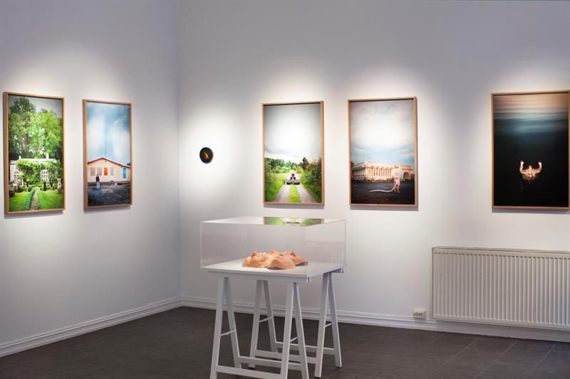 The exhibition "Dogwalk" by Malin Griffiths 13 April - 21 May 2023 