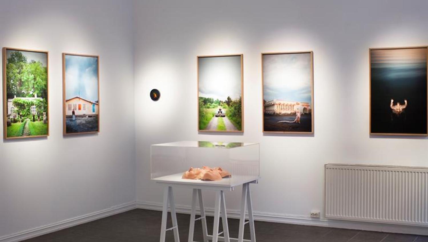 The exhibition "Dogwalk" by Malin Griffiths 13 April - 21 May 2023
