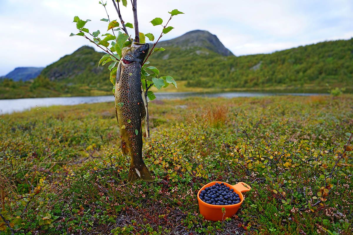 web_bearbeidet original_Fisking i Strøsvatnet_Caroline Svae