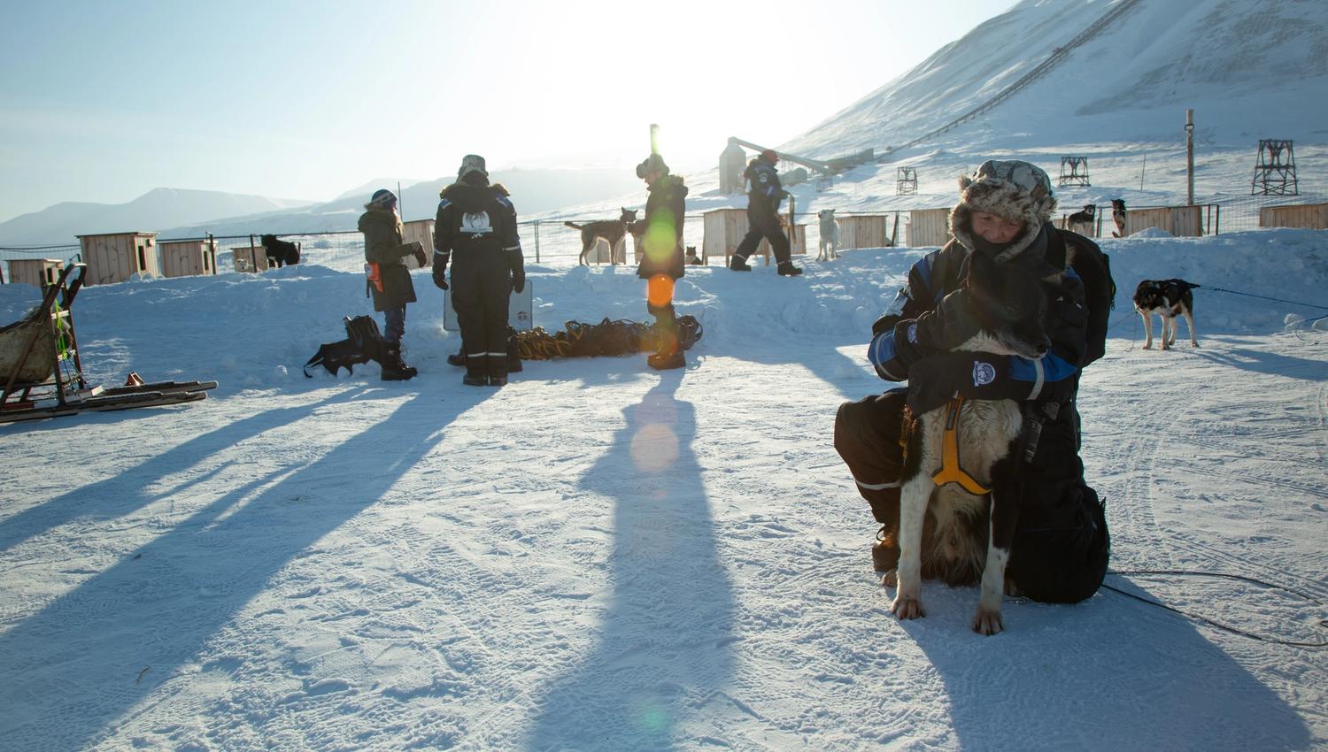 Kosing med hund