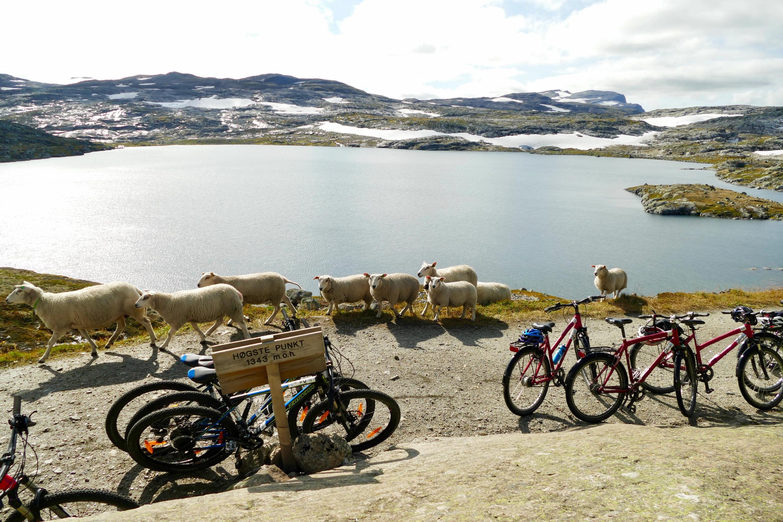 Rallarvegen