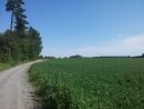 Langs landeveien