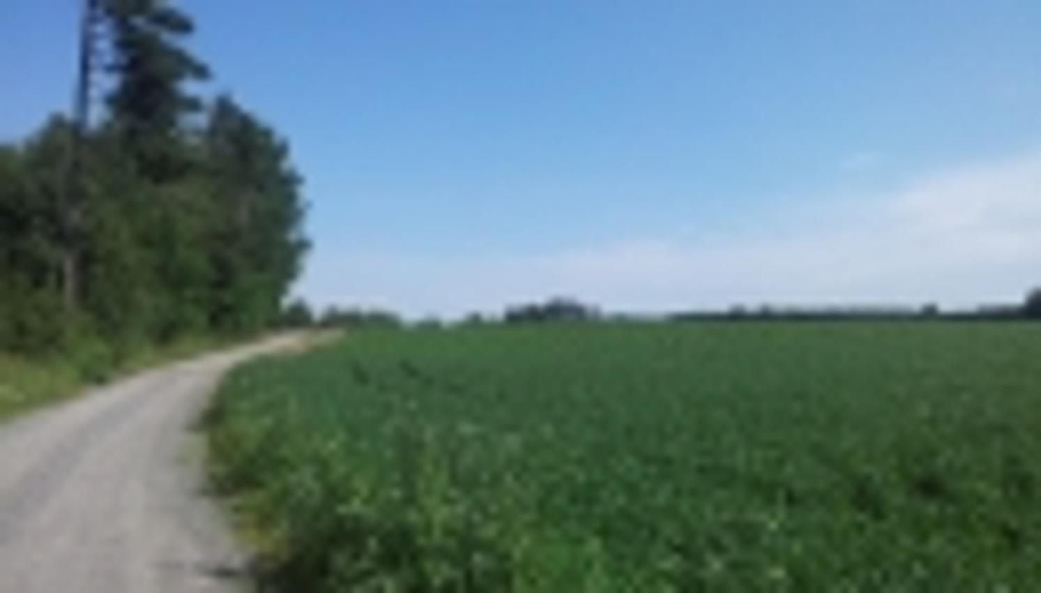 Langs landeveien
