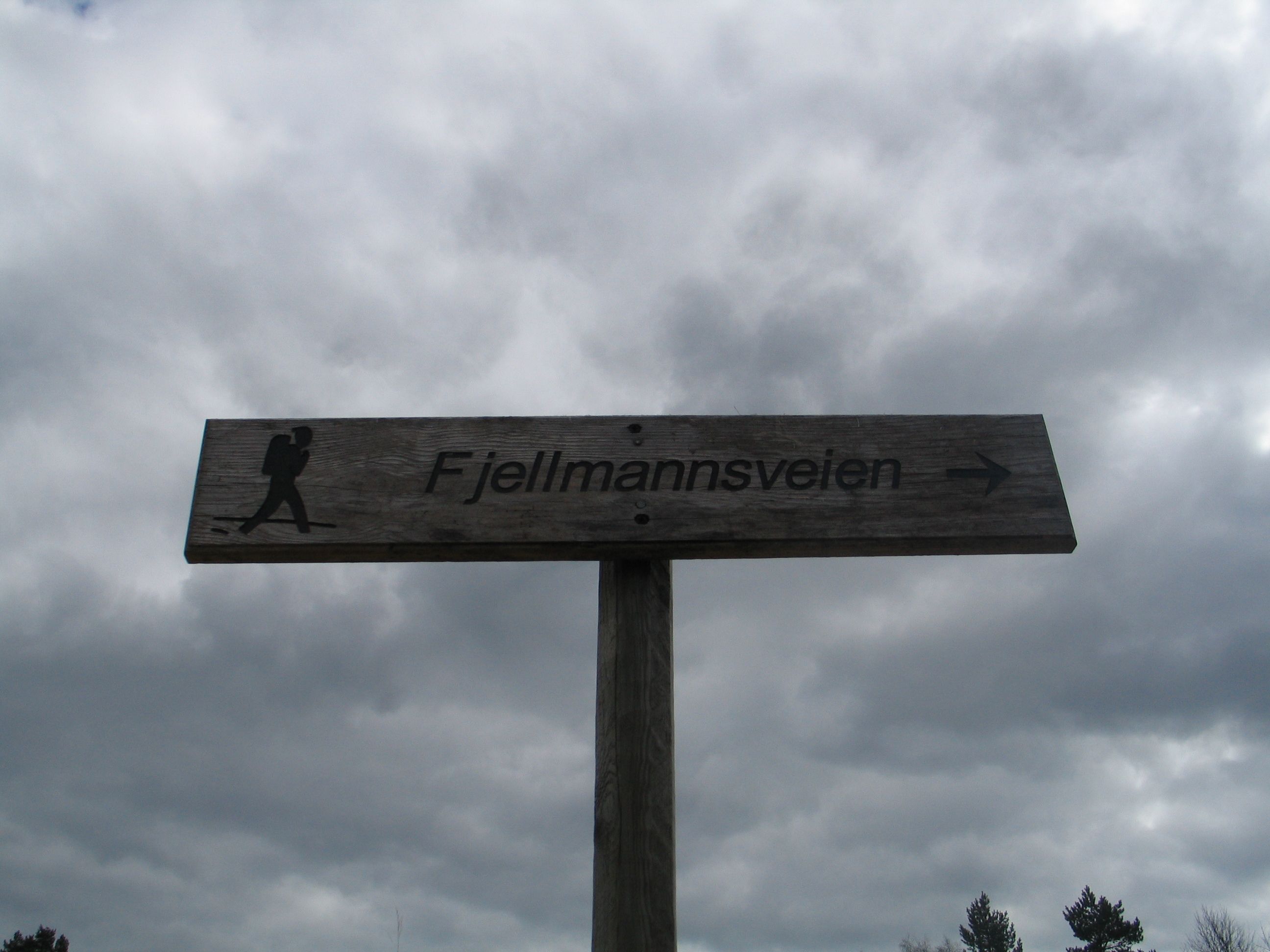 Fjellmannsvegen
