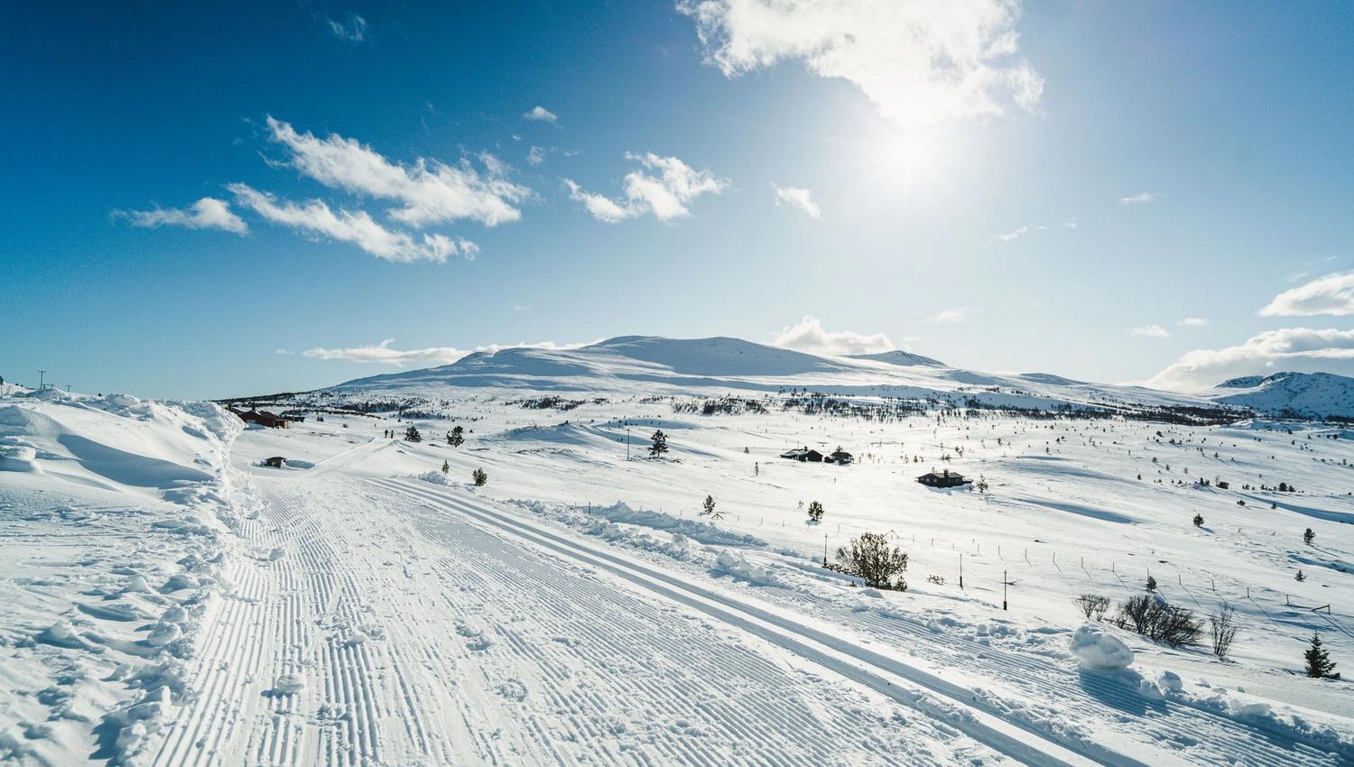 Foto- Erland Husom-Nasjonalparkriket