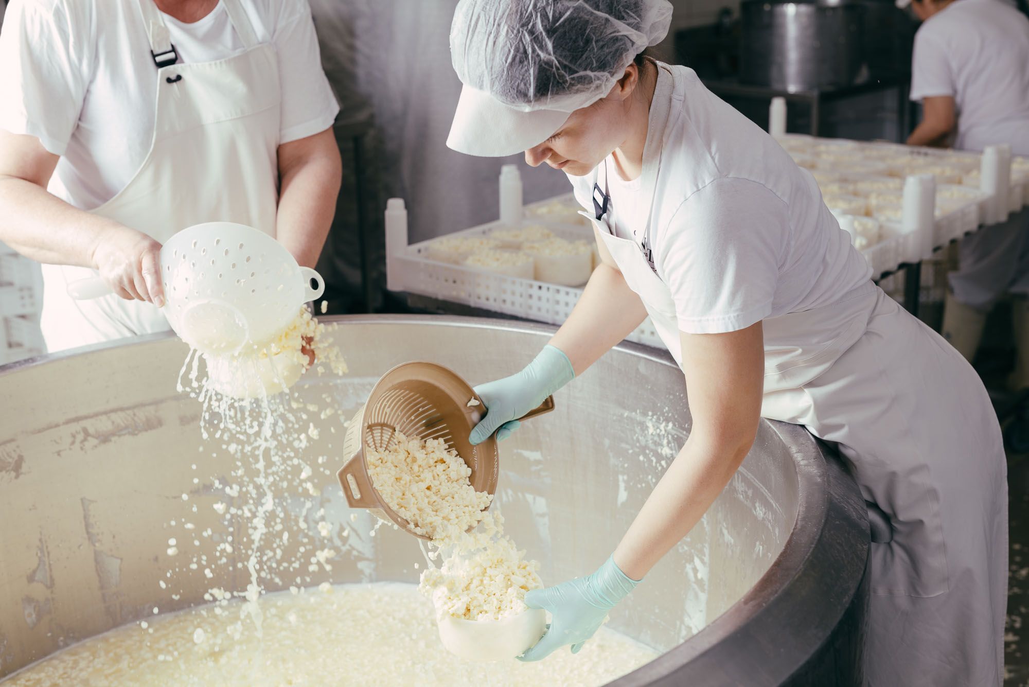 View into the cheese production