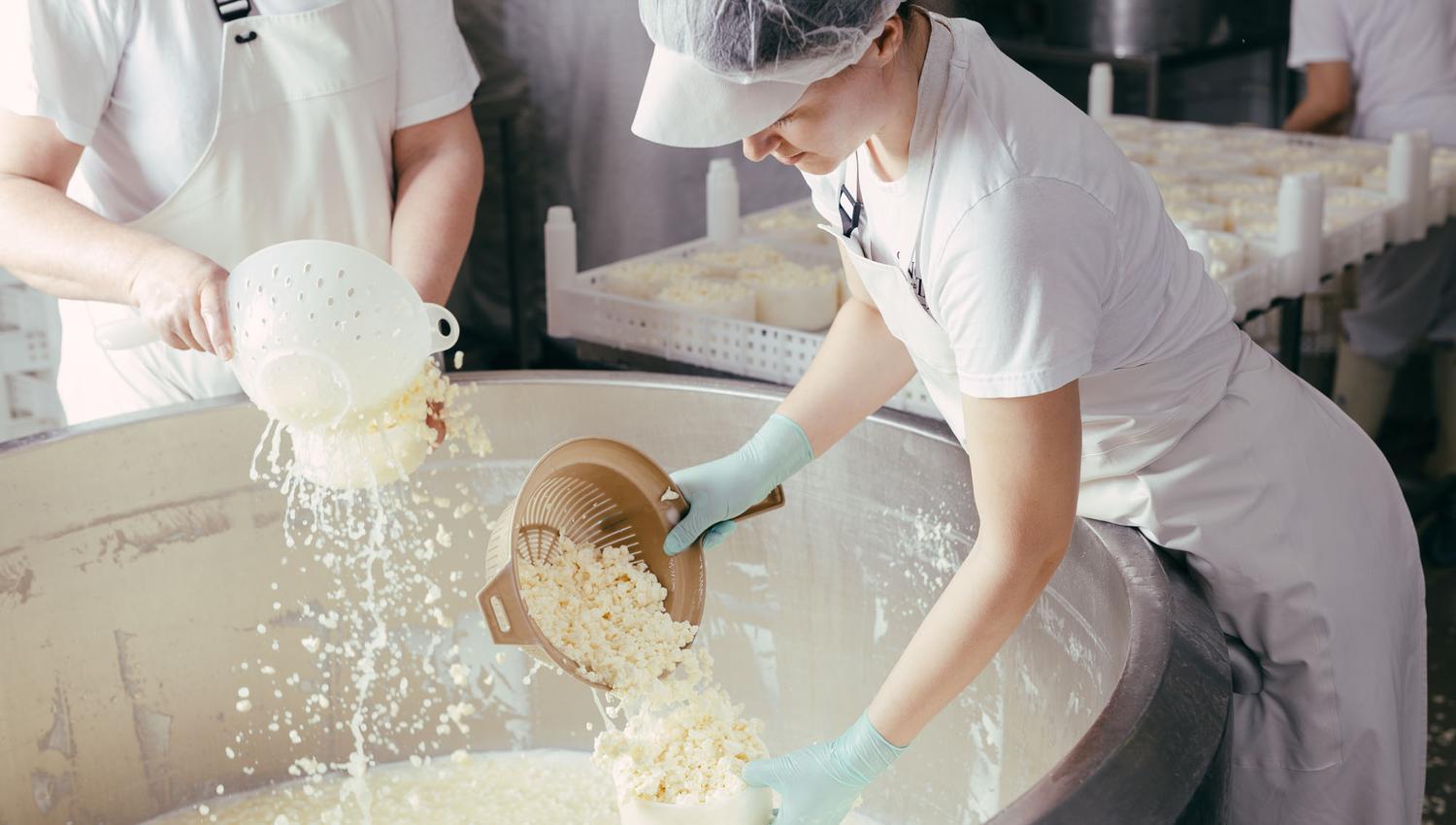 View into the cheese production