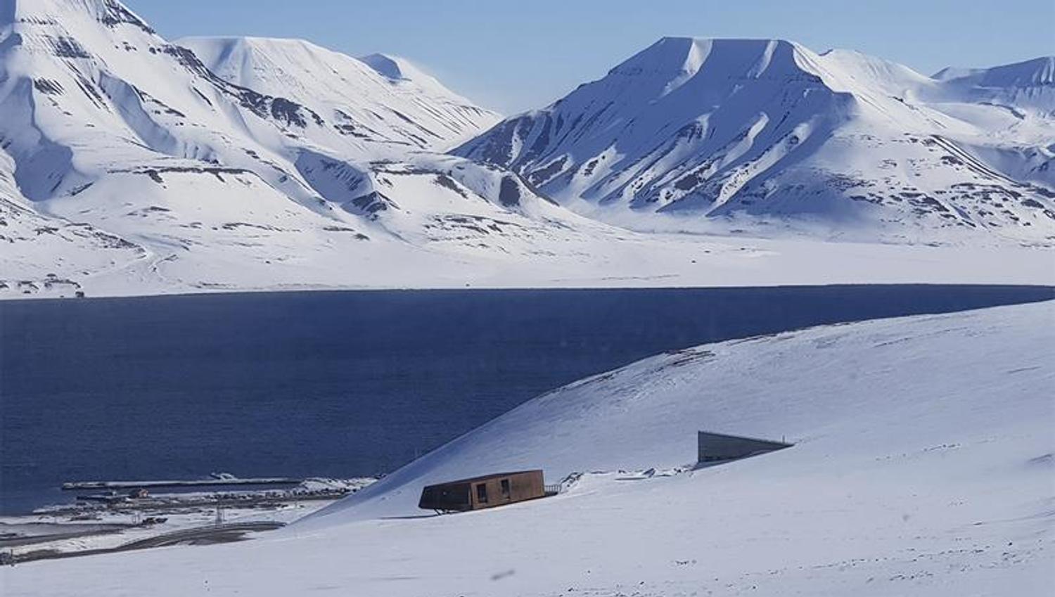 Svalbard Globale Frøhvelv i lyse snødekte omgivelser med en fjord og tilsnødde fjell i bakgrunnen