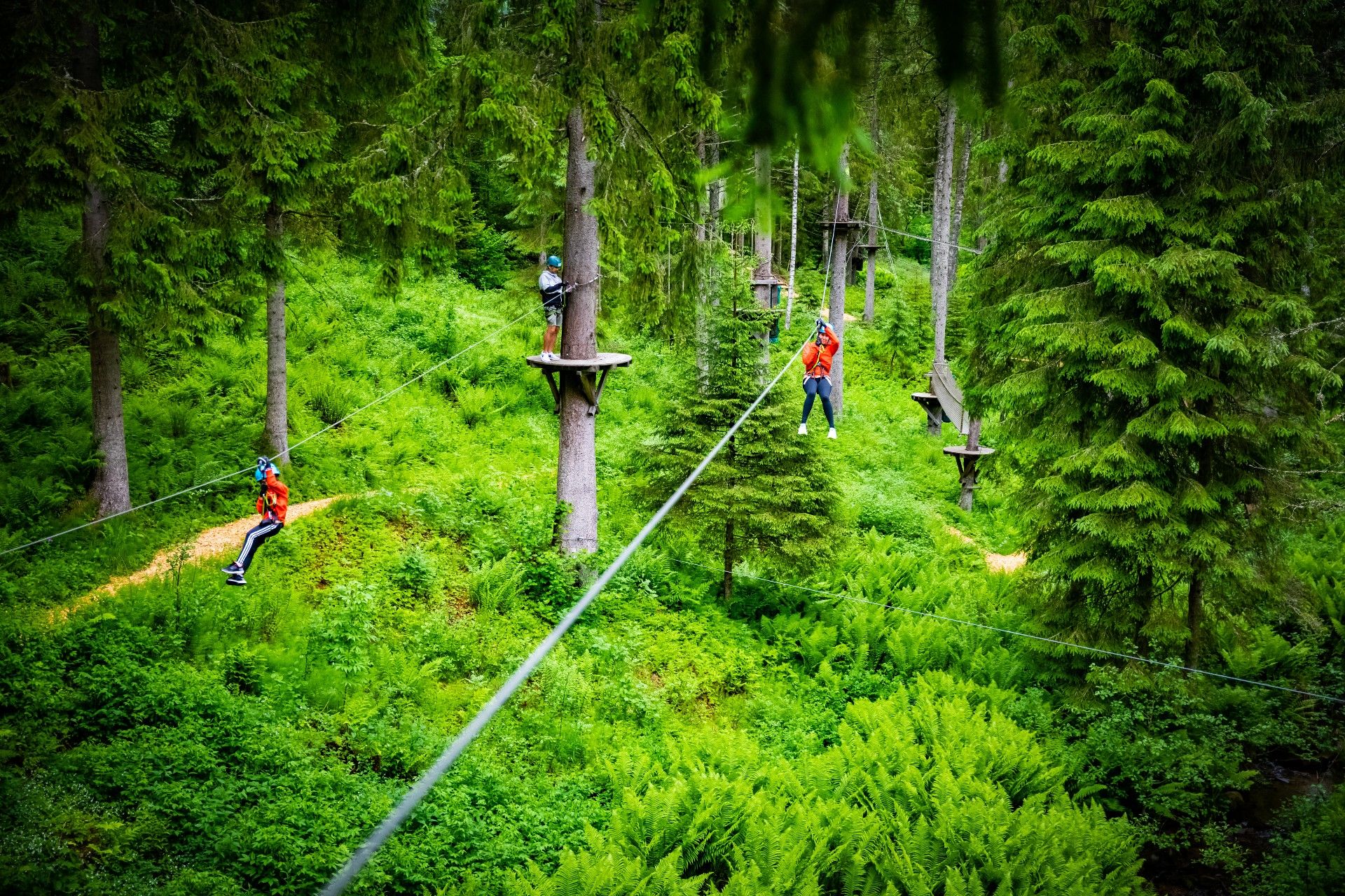 Two people riding a zipline.