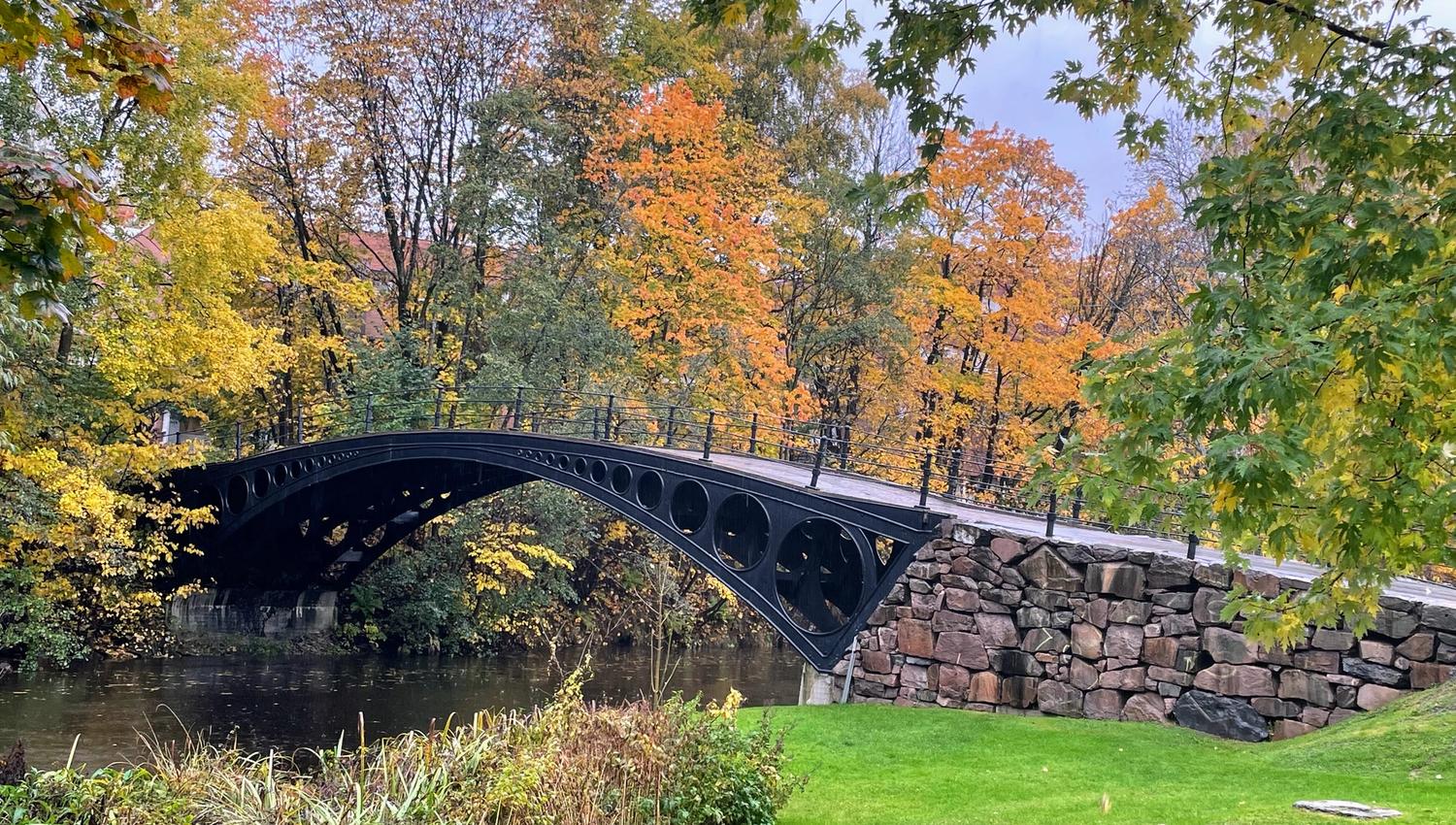 Løkke bridge - autumn colors