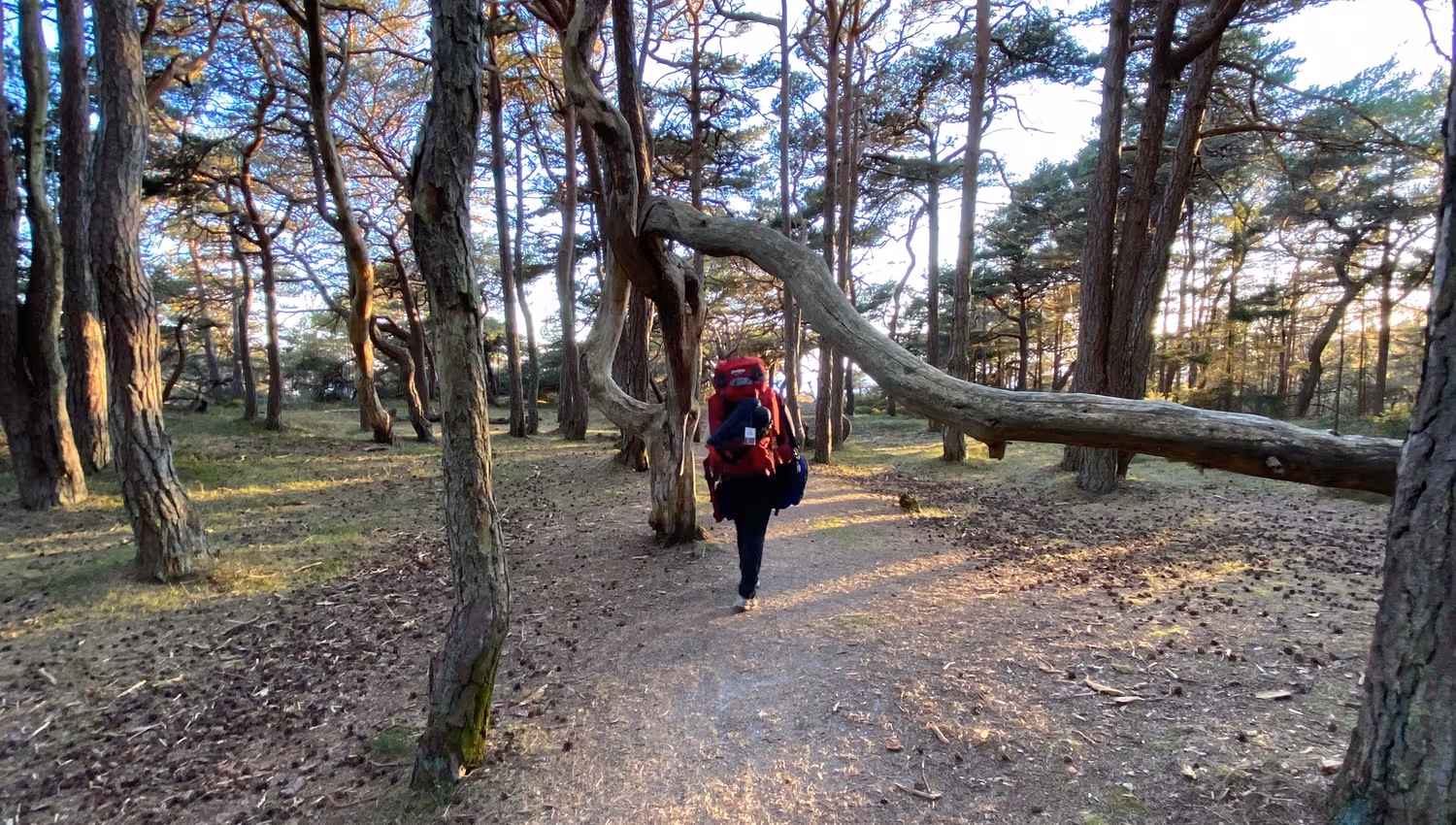 Veien fra parkering til Storesand på Hvaler
