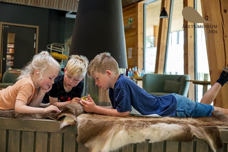 3 kids enjoyng themselves on a reindeer skin covered bench in front of the fire place