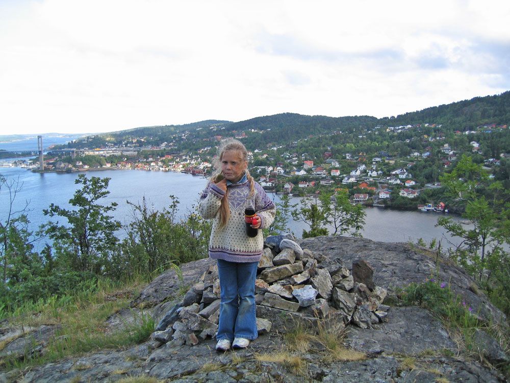 Utsikt over Brevik og Grenlansbrua