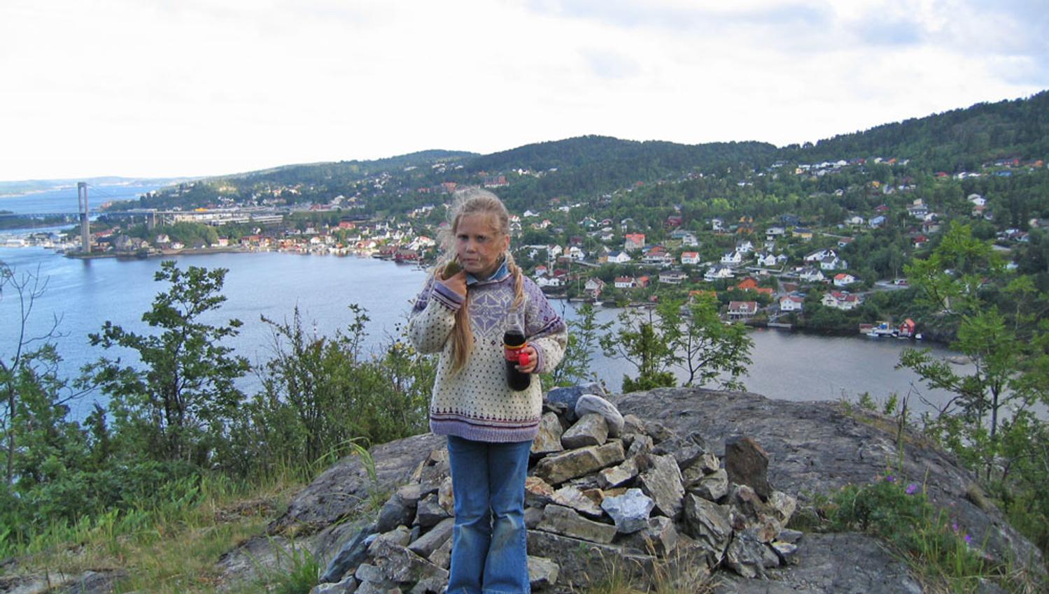 Utsikt over Brevik og Grenlansbrua