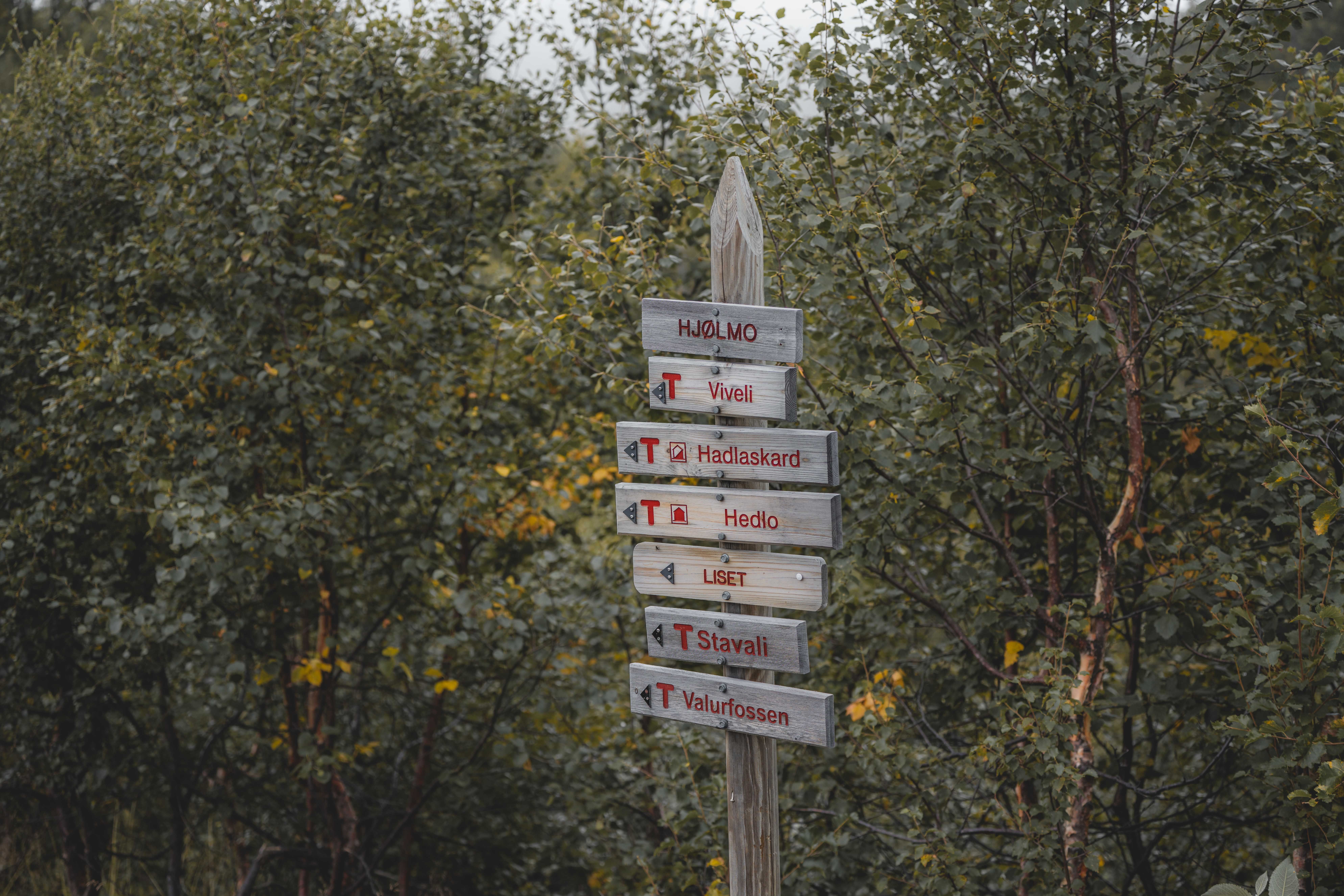A signpost with several wooden signs pointing to various locations in the Hardangervidda.