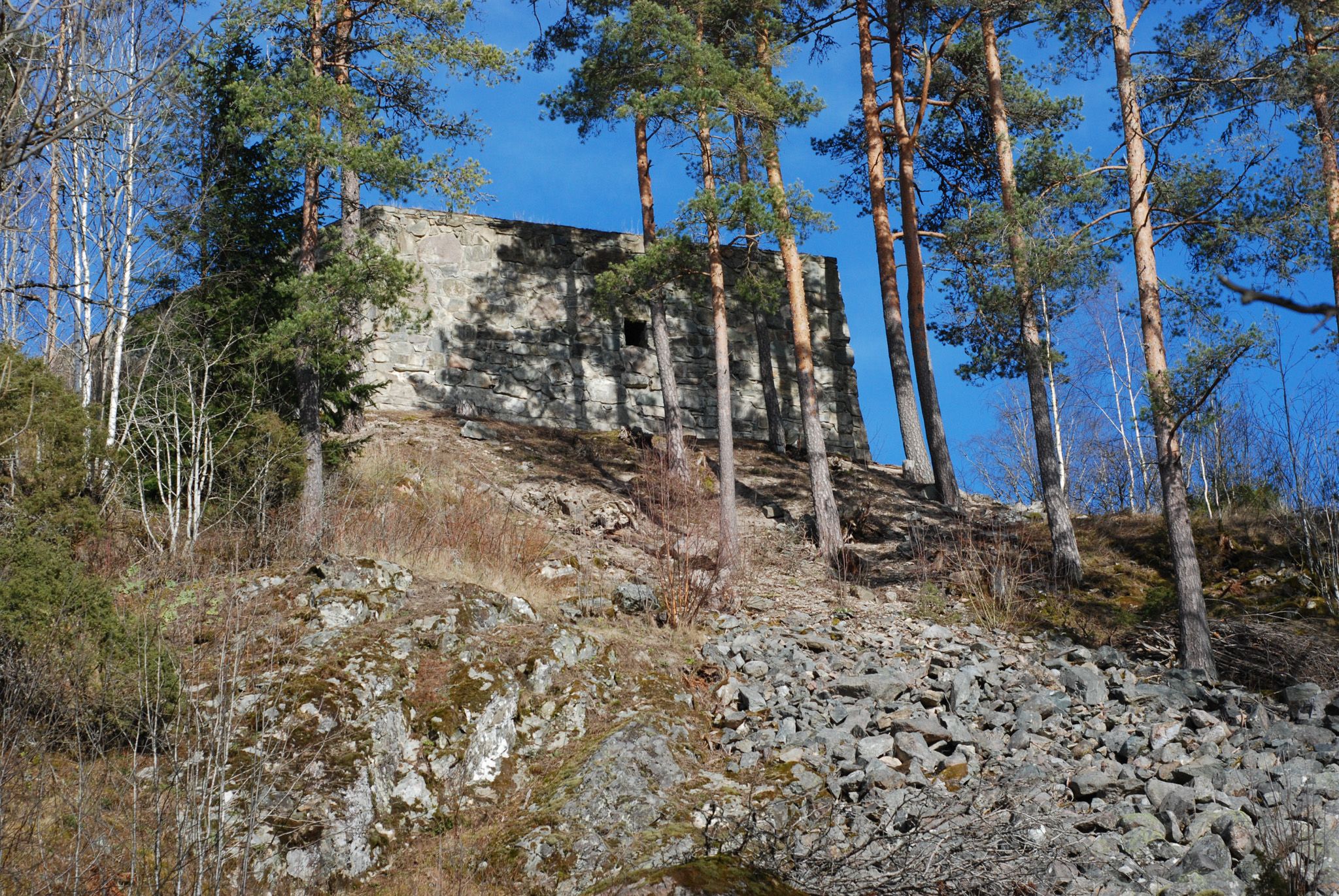 bunker hidden in trees