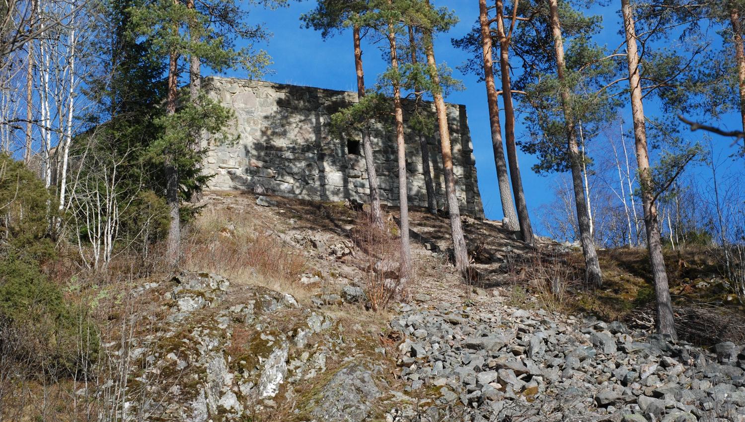 bunker hidden in trees