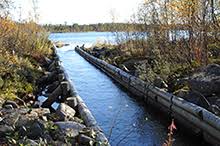 Langtjønna