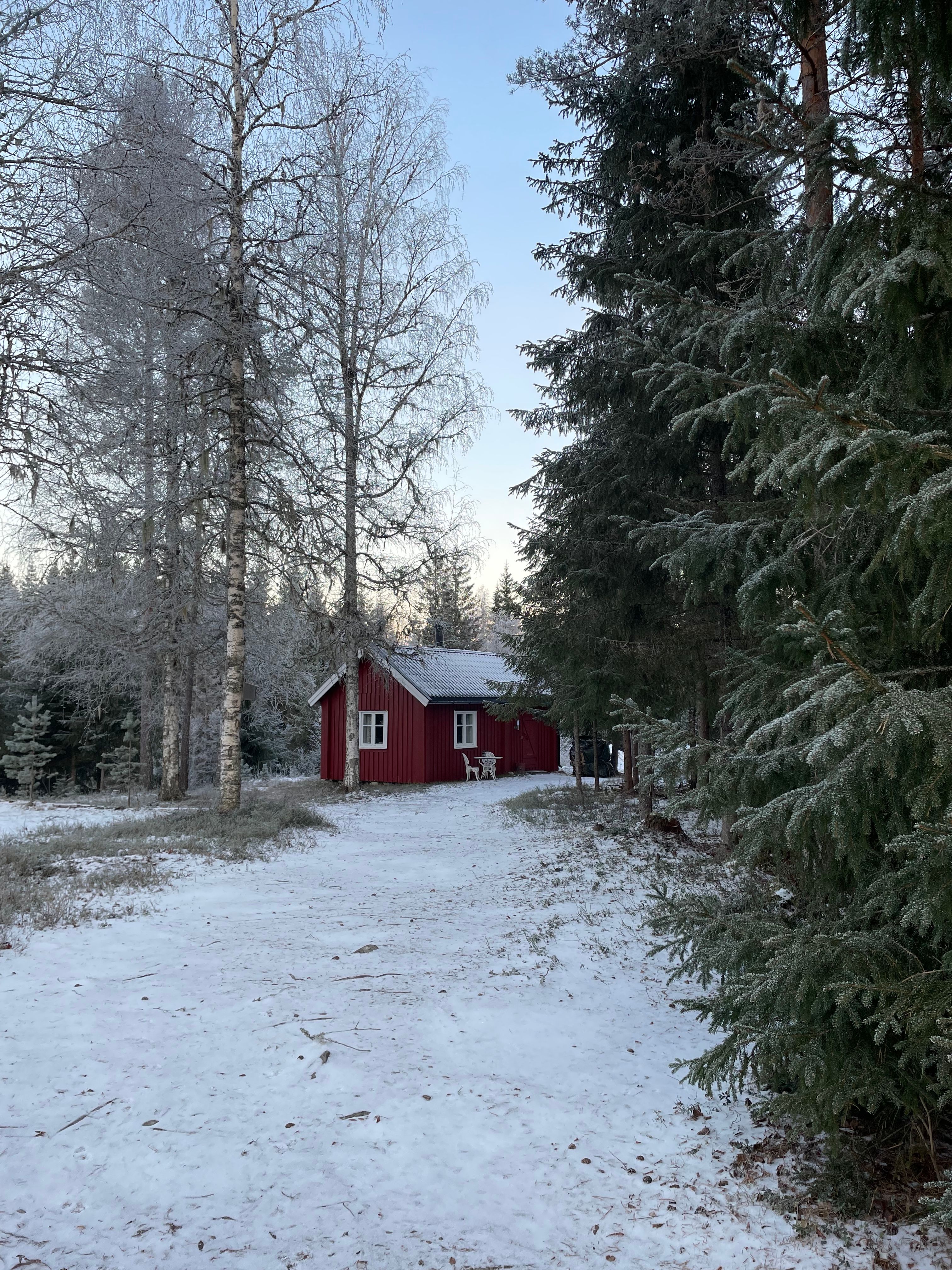 Veslestua- liten rød hytte i skogen