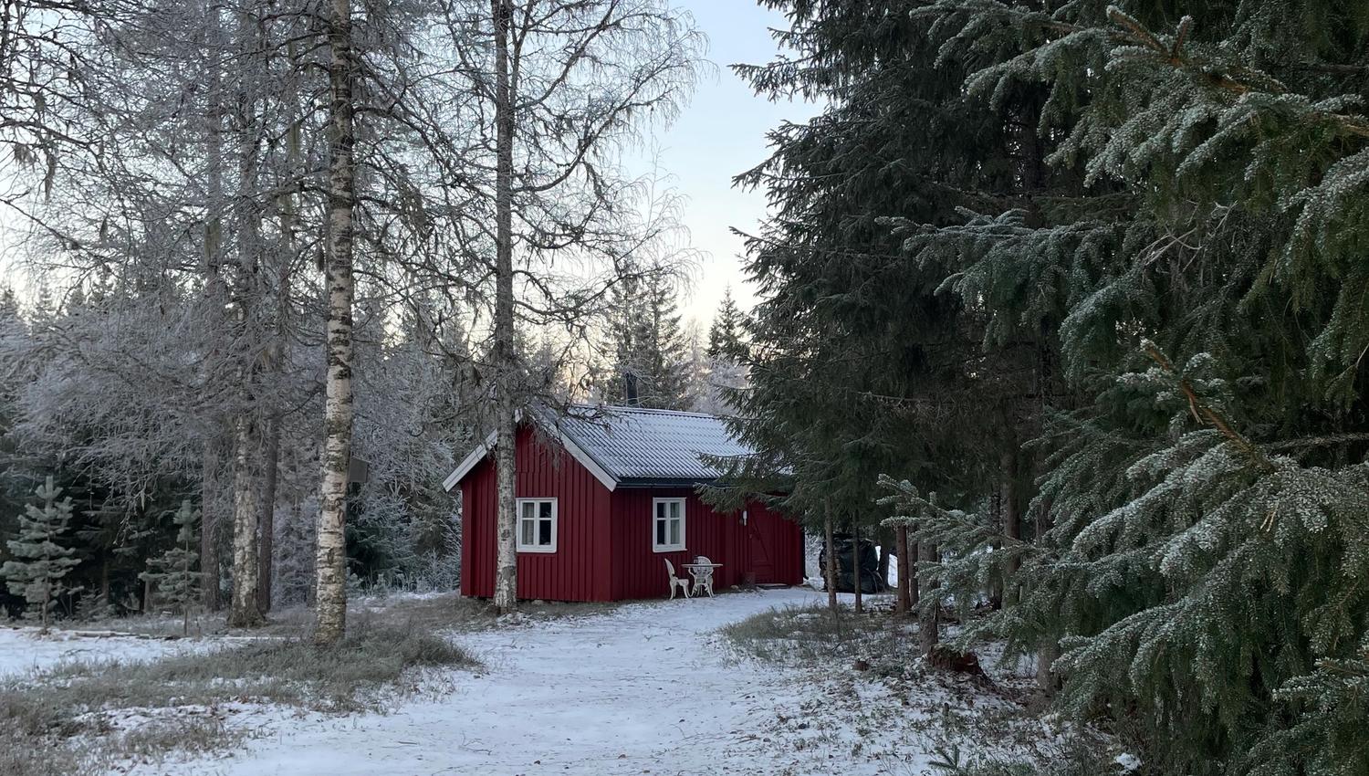 Veslestua- liten rød hytte i skogen
