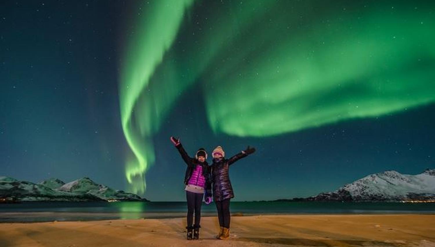 Two guests under the northern lightss